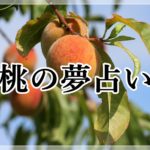 夢占い 漫画の夢が示す１５の意味 空想や現実から離れた発想を暗示 ロジカル夢占い