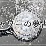 夢占い 耳の夢が示す38の意味 情報や人の意見 噂やアドバイスを暗示しています ロジカル夢占い 夢占い 耳の夢が示す38の意味 情報や人の意見 噂やアドバイスを暗示しています ロジカル夢占い
