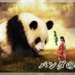 Uranai Dream Com Wp Content Uploads 19 03 Pan