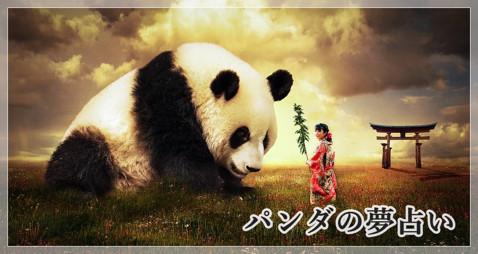 夢占い パンダの夢が示す１４の意味 良縁の訪れを暗示しています ロジカル夢占い
