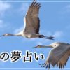 夢占い おにぎりの夢は幸運の兆し さらに運気を上げるために必要なものとは ロジカル夢占い