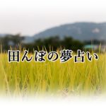 夢占い 嘘 の夢が示す１２の意味 心と遠い場所にある意識を象徴しています ロジカル夢占い