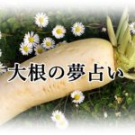 夢占い 包丁の夢が示す１７の意味 刺される 向けるなど ロジカル夢占い